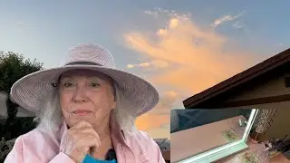 Would You Put on Makeup to Garden? Tales of Zinnias, Daylilies, Arizona Clouds & Garden Lizards