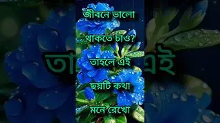 জীবনে ভালো থাকতে চাও? Life changing motivational quotes in bengali #motivational #love