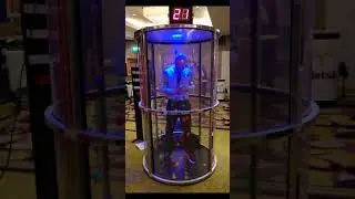 Ball-Nado Grab a Grand Game Hire