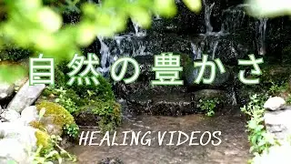 Healing/Nature Sounds - Beautiful clear streams and lush green forests blessed by nature.