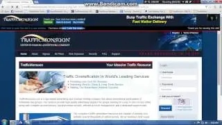 How to Start Timer In TrafficMonSoon