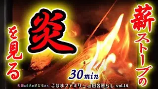 【リラックス・癒しの炎・BGM有り】薪ストーブの炎を見る30min　日々の疲れ・ストレス・不安・不満・怒りを鎮めよう