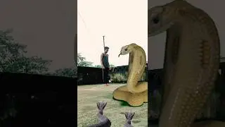 Big snake 😱 magar naagdev ne bacha liya 🙏 #vfx #magic #sastavfx