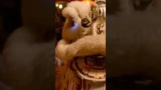 The Dragon - part 3: Reprise / relapse