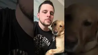 When dogs want attention