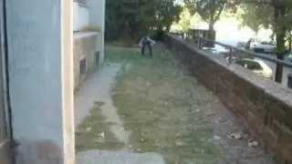 &Uacute;jv&aacute;rosi Parkour Team  U.T.P