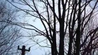 救助ヘリ・タイマグラに飛来　2011年3月14日