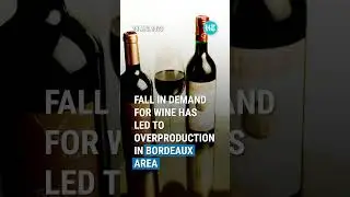 France To Spend &euro;200m For Destroying Excess Wine As Demand Falls