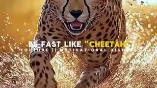 Be Fearless Like Lion 😎🔥 ~Motivational Quotes💯 #shorts #motivation #quotes #sigma #attitude #explore