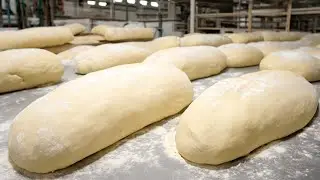 How bread is made | The magic of yeast & flour