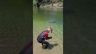 7 yr old spots huge eel ,#River swimming #New Zealand Summer