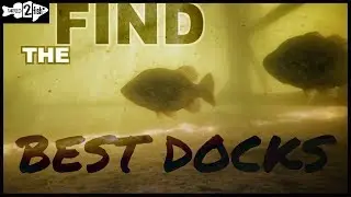 Dock Fishing Tips for Summer Bass