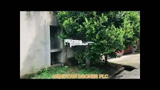 DJi mini 2 drone signal issue,problem
