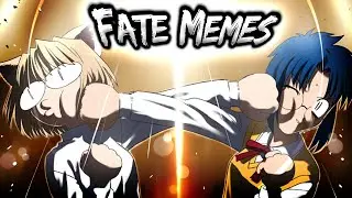 An Infestation of Fate Memes! Feat Tsukihime