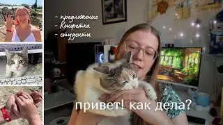 будни преподавателя: про студентов, кошку и отпуск