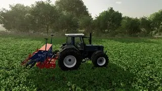 [Tips]🌾Radis Oléagineux|Fertilisant Bio & Naturel🍀
