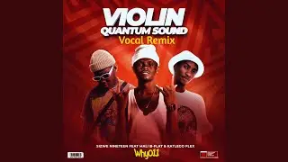 Why01.1 & Sizwe Nineteen - Violin (Quantum Sound) (Vocal Remix) (feat. Mali B-Flat & Katlego Flex)