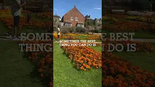 Gadebridge park 🌼🌸🍃#uk#sunnyday