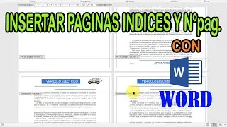 DIVIDIR EN SECCIONES e INSERTAR y NUMERAR PAGINAS EN WORD