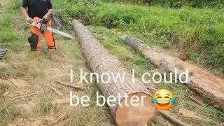 More Bucking/Cutting Douglas Fir Plus a Saw Tip #powersaw #gettingsplitdone