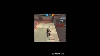 Live streaming of PRIMEX FF