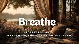 Forest Lullaby &ndash; Gentle Wind, Birds, and Nightfall Calm[3Hour]