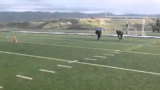 5 Star Linemen Academy Training