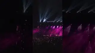 Martin Garrix animals remix