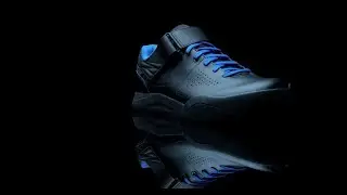 DH Dominator: The Shuttle DH Shoe