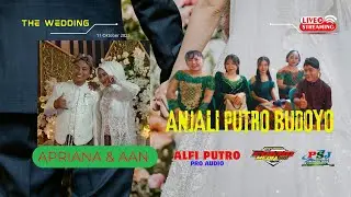 🔴Live  APB Music ❃ WEDDING  Apriana  &  Aan ❃ ALFI PUTRO Pro Audio ❃  Cokro Media HD