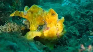 2 minutes under Jetty