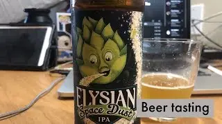 Beer Review Elysian Space Dust