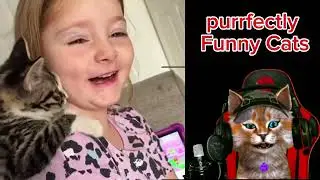 because of the cat i laugh😸😸😸#catlaughs #catvideo #catlaugh