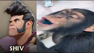 Deadlock Characters IRL