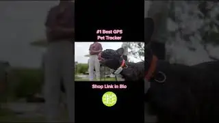 Amazon Must Haves ~ GPS PET TRACKER Tik Tok Made Me Buy It. (Links In Bio)👇
