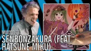 WhiteFlame - Senbonzakura (feat. Hatsune Miku) | Office Drummer [First Time Hearing]
