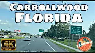 Carrollwood, FL - Hillsborough County - City Tour & Drive Thru