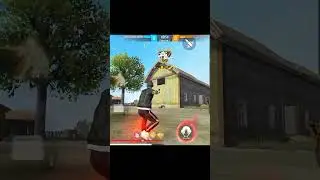 #halo