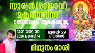 സൂര്യൻ(രാജാവ്)മകരത്തിൽ - മിഥുനം രാശി#astrology #horoscope #predictions #malayalam #hinduastrology