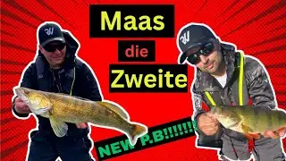 Real Warriors auf der Maas &ndash; PB-Zander vom Angelboot!