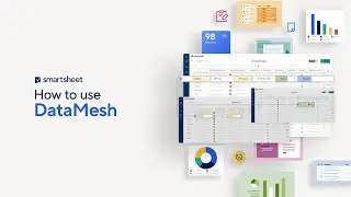 How to use DataMesh