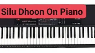 Silu Dhoon | Newari Popular Song | Instrumental Cover