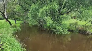 Ловля форели и раков на приманку в грязной воде.