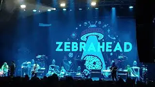 Zebrahead - Perfect Crime (Live in Berlin at Velodrom Ufo 01/02/2020)