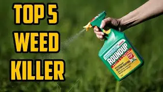 5 Best Weed Killer 2021 - Top 5 Weed Killer in 2021