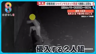【独自】週に2回も&hellip;収穫目前シャインマスカット窃盗 枝ごと切り取る手口犯人は防カメ破壊し逃走【めざまし８ニュース】