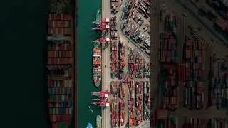 If China Stopped Shipping for 7 Days#geopolitics #crypto #india #facts #blockchain #usa #bitcoin