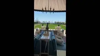 Montecito - The exquisite Rosewood Miramar Hotel #shorts