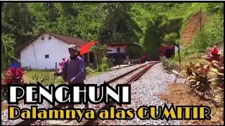 Kehidupan TERSEMBUNYI Di Hutan Mistis ALAS GUMITIR