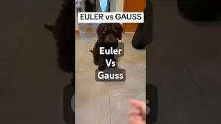 Euler vs Gauss... Only Kaia can decide #math #gauss #euler #stem #puppy